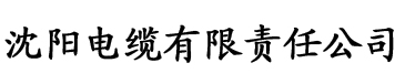 午夜大片大香蕉电缆厂logo